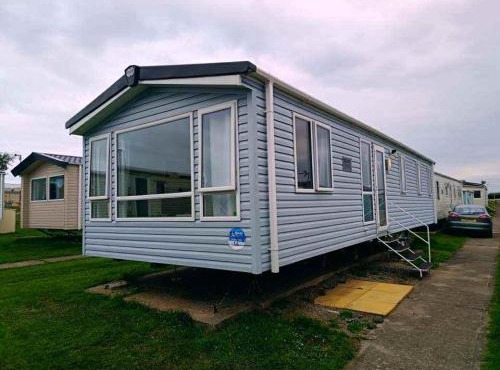 14 Atlas Ruby Cherry tree