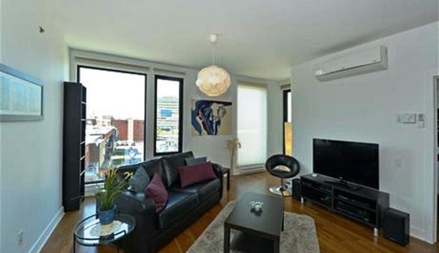#146 Gorgeous, Tastefully Furnished APT in Rosemont