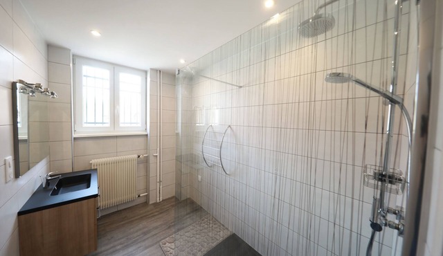 15 km from Colmar, 30 minutes from Europa-Park,.ideal apartment for families