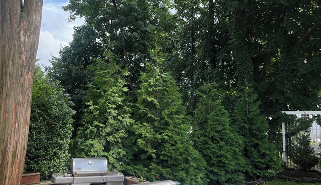 15 min. to WORLD CUP. 30toNYC. HOT TUB & DRIVER. Sleep 6-8. 3BR Luxury Home with