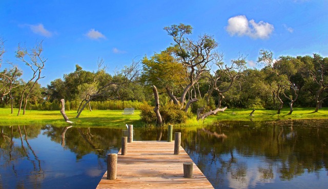 1501 Weeping Willow - Grouper Cottage