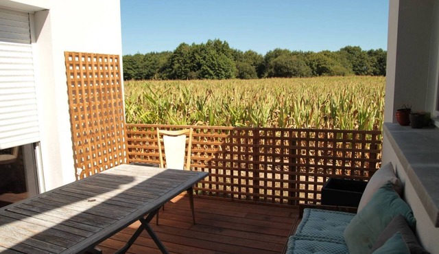 150m² house with heated swimming pool South of the Landes near the beaches