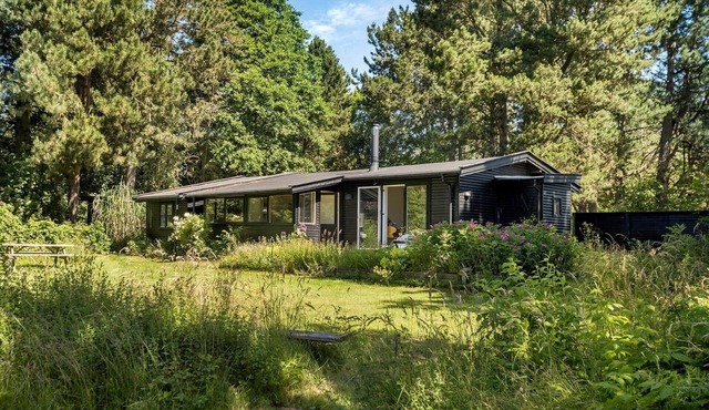 1596 Vejby - Skelbæksås 1