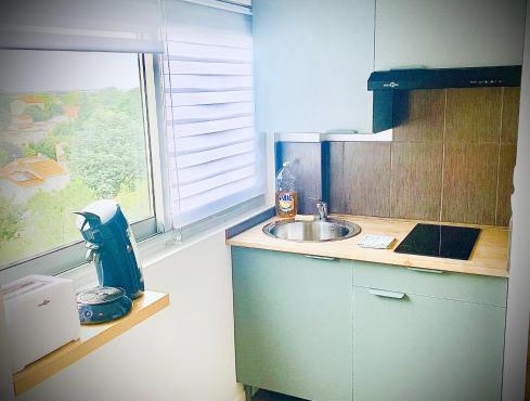 15G Bron centre hôpital Desgenette Vinatier