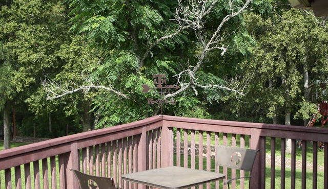 16 Acre Aggie Octaranch in the Bend of the Brazos River