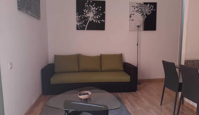 16 Comfortable Apartment In Town