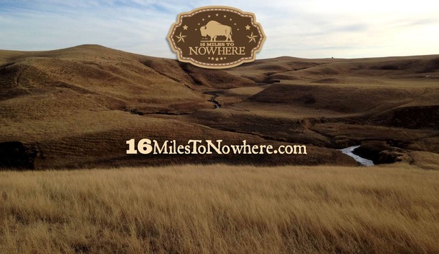 🦬 16 Miles to Nowhere: Experience the Dakota Prairie