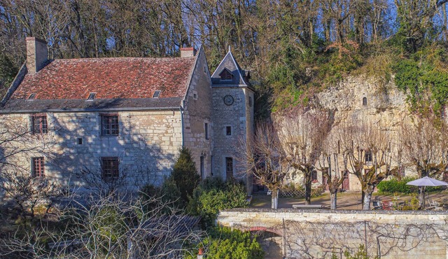 16th century manor house with 4 bedrooms near Chenonceau and Beauval Zoo