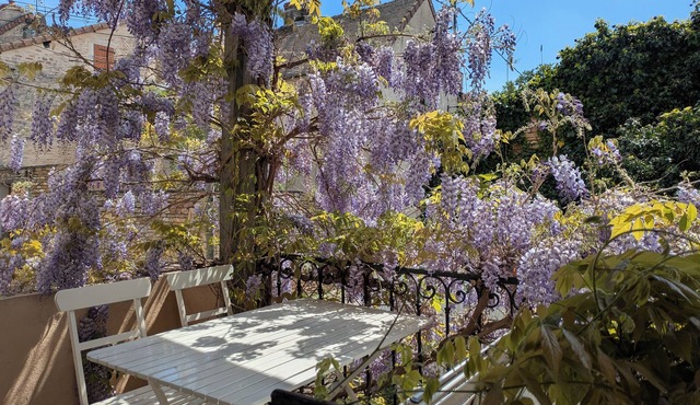 16th Century winemakers cottage in Saint Gengoux
