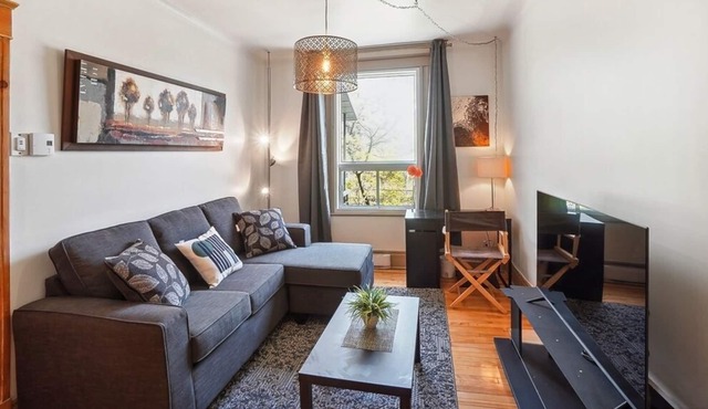 #171 Charming and Tastefully Furnished with 2 balconies