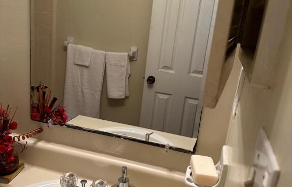 1733 Snowmass court