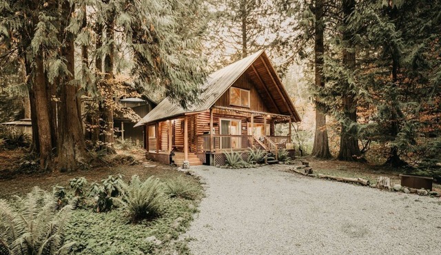 17MBR - Log Cabin - BBQ - Pets Ok - WiFi - Sleeps 6 by RedAwning