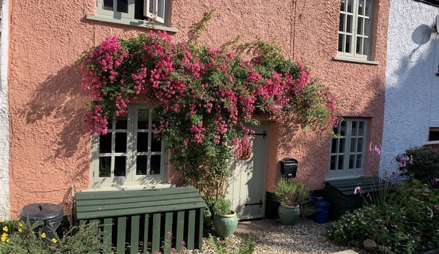 17th Century character cottage in pretty Devon village