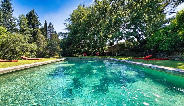 17th century farmhouse in the heart of an AOC vineyard, swimming pool