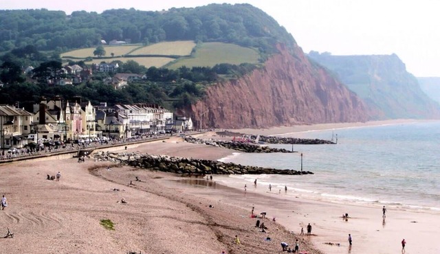 17th Century Thatched Cottage, 10 Mins to Sidmouth