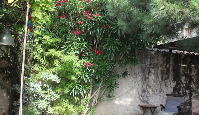 18 Century Provencal Mas With Swimming Pool