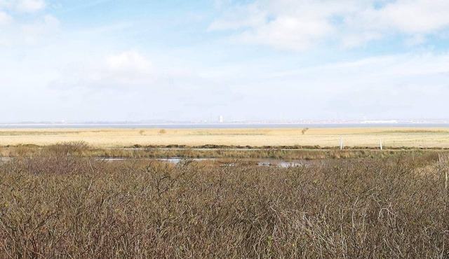 18 person holiday home in Ringkøbing