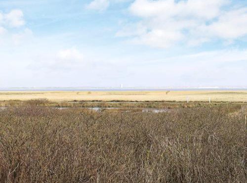 18 person holiday home in Ringkøbing