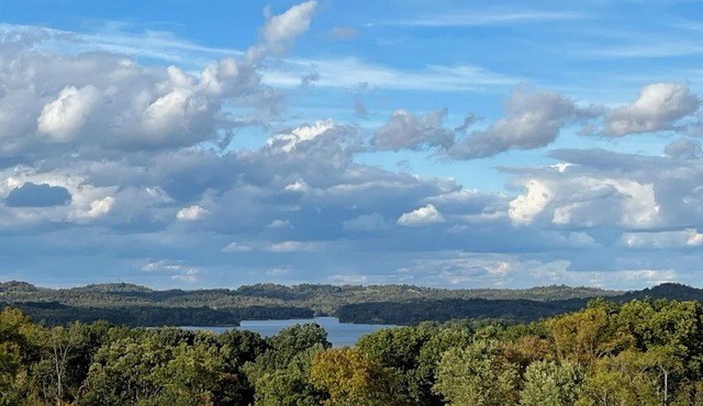 180 Degree Seneca Lake Views, privacy galore with hot tub. Sleeps 9n