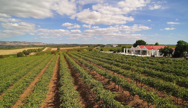1837 Barossa Luxury Vineyard Cottage #2, Lyndoch SA