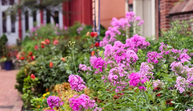 1840s Carrollton Inn