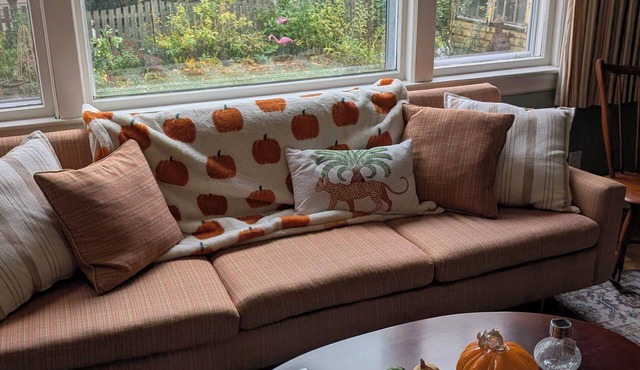 1880 updated Victorian 1st floor, water views