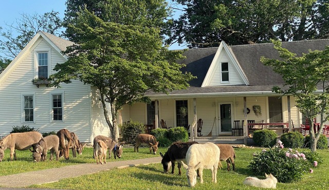 1884 Farmhouse at Donkeytown Designed for large get togethers!