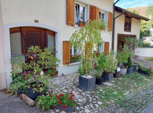 18th C Cottage near Basel, Hiking, Business, Families, Groups, Parking, Fast WiFi, Jura Mountains