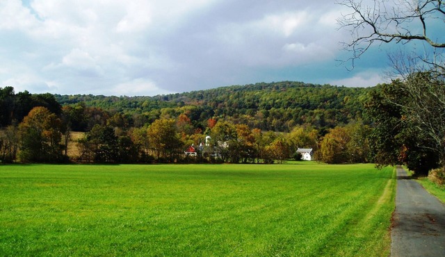 18th C. HOME ON COOKS CREEK/CONSERVED 100 ACRE FARM (NYC 1.5 hrs; Phila. 1 hr)