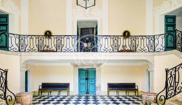 18th century chateau in the Gard, 500m2 for your vacations, pets welcome