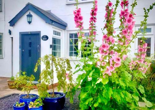 18th Century Cosy Cottage with Stunning views in Stratford