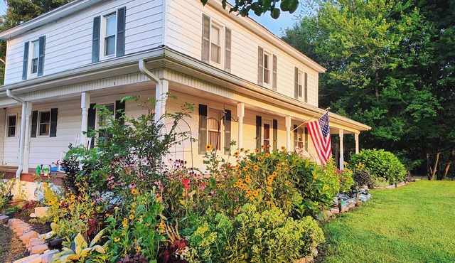 1900 Farmhouse living
