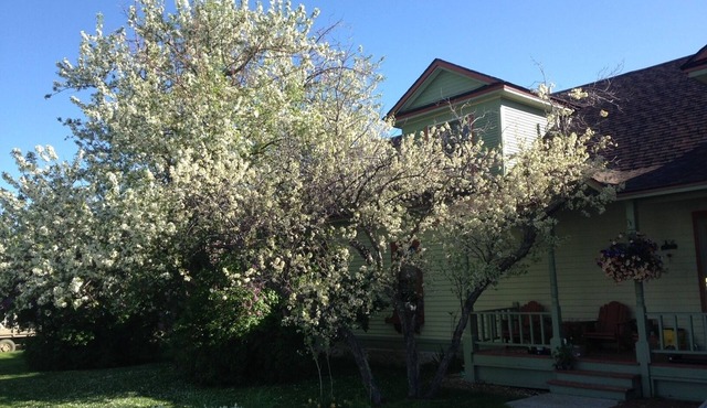 1910 Montana Charm! Experience the warmth and feel of a small- town home!