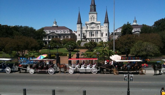 1929 Beautifully Renovated Home 4 Blocks From Ferry to French Quarter