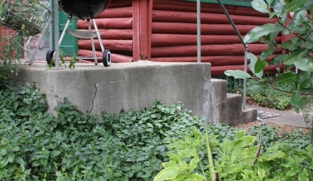 1930's Rustic Studio Cabin on a Private Estate, Sleeps 2