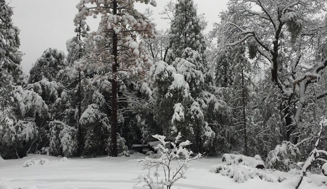 1940s cottage updated with todays amenities