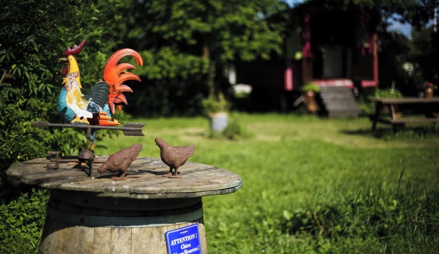 1946 "Pacouli" caravan in a wooded meadow