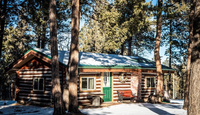 1950's Retro Cabin on 40 Wooded Acres