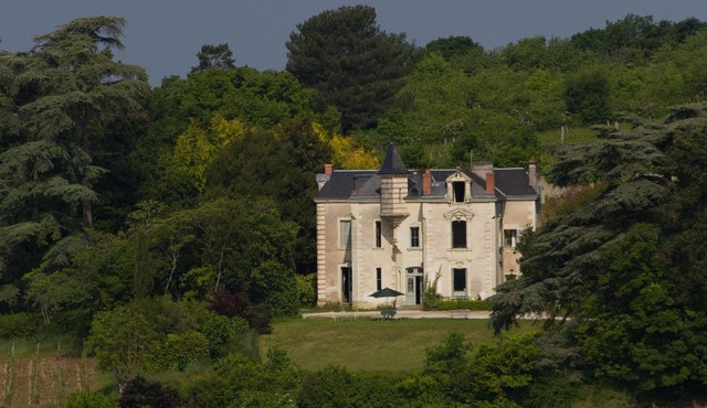 19th Century Manor House Set in a Working Organic Vineyard