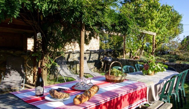 19th Century Authentic House with Garden, Pets Allowed