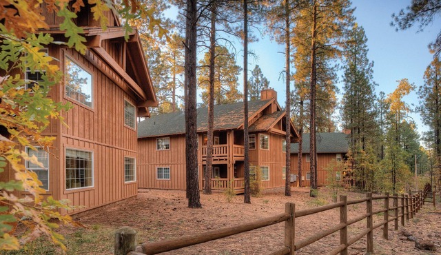 1BD/Pinetop - White Mountains Retreat with cozy condos and tons of amenities!