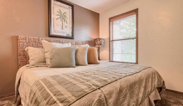1BD/Top Family Resort on Indian Point on Table Rock Lake in Branson, Mo