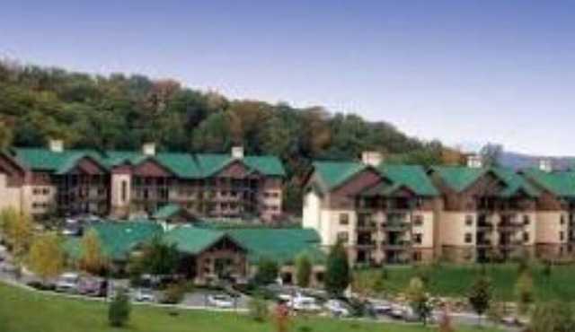 1Bed/1Bath Deluxe in the Stunning Smoky Mountains!