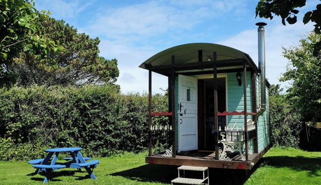 1Bed Cabin Sleeps 2- Fireplace,Garden,Parking,Pets