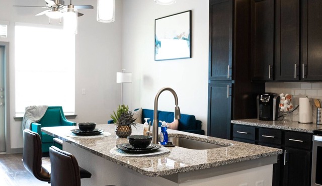 1Bedroom Luxury Apartment near Texas Medical Center, NRG Park, Downtown Houston.