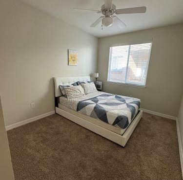 1BHK Furnished Retreat Cedar Park Austin Stay