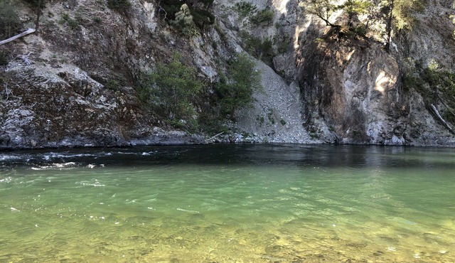 1BR/1BA Trinity River Cabin - Salmon - w/Small Loft