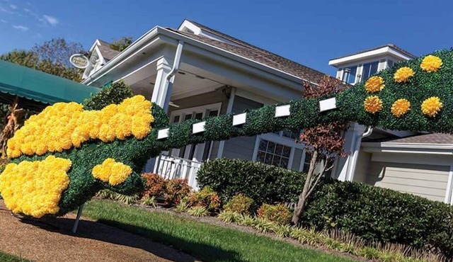 1br Beautiful Scenery & Grand ole Opry!