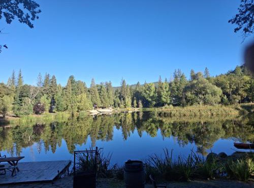 1BR Dog-Friendly Lakefront Cabin with Canoes