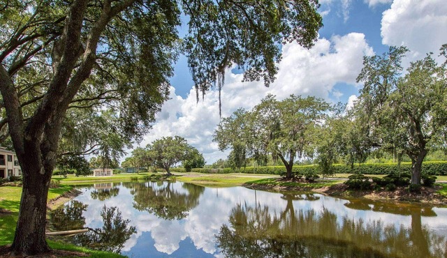 1BR Ground-Floor Condo w/Patio |Water Views |Smart TVs |Wesley Chapel |Saddlebrook Resort Amenities